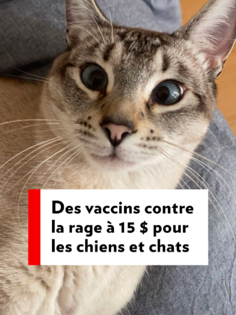 @La Presse
