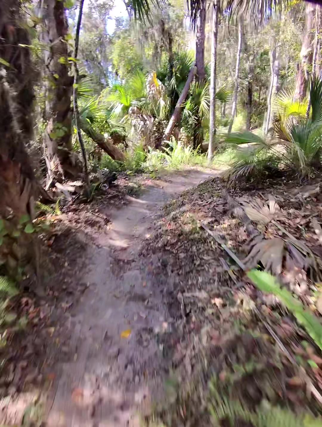 @Flow_MTB
