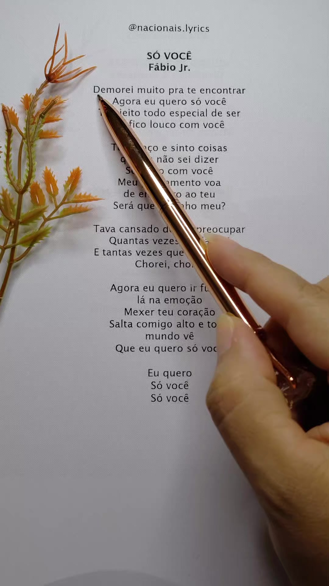 @nacionais lyrics