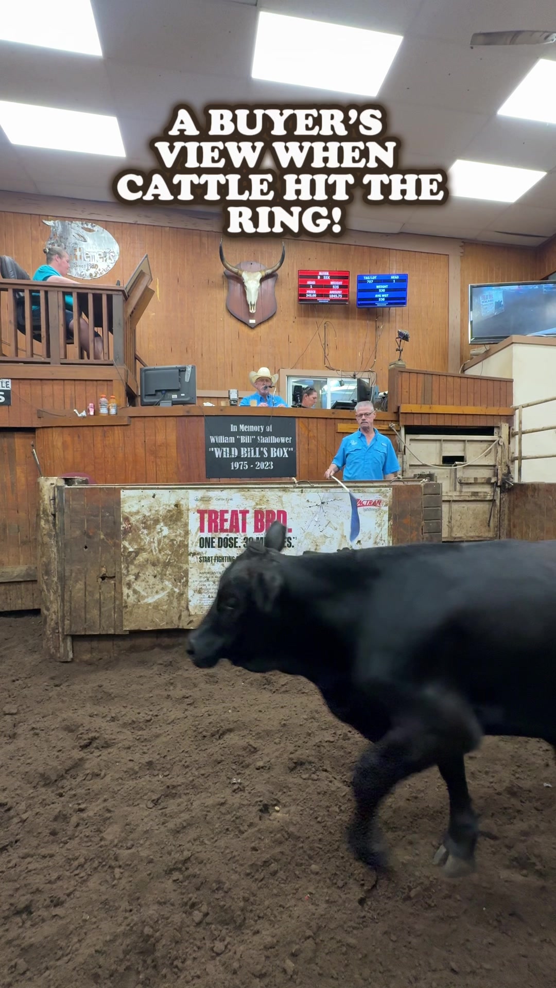 @Cattlemen’s Livestock Market