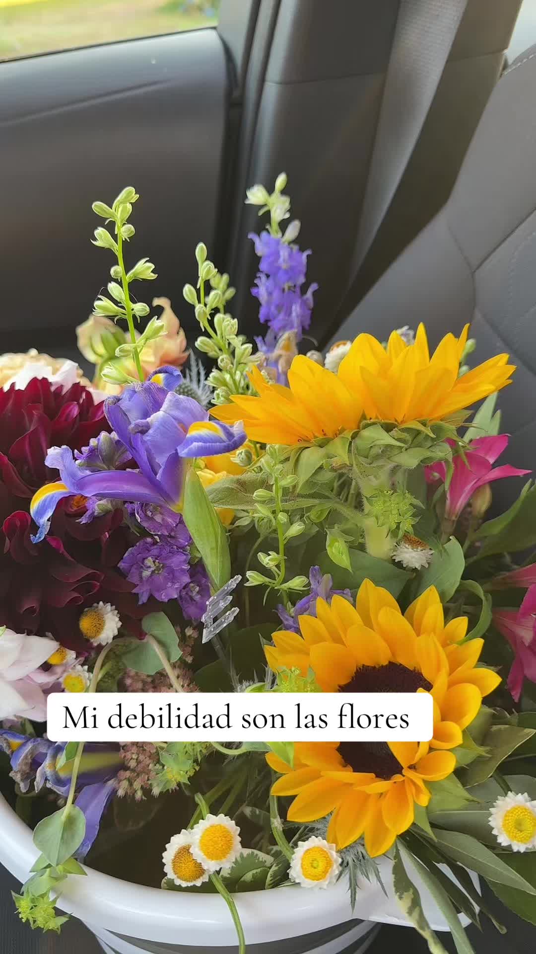 @azucenamtz28