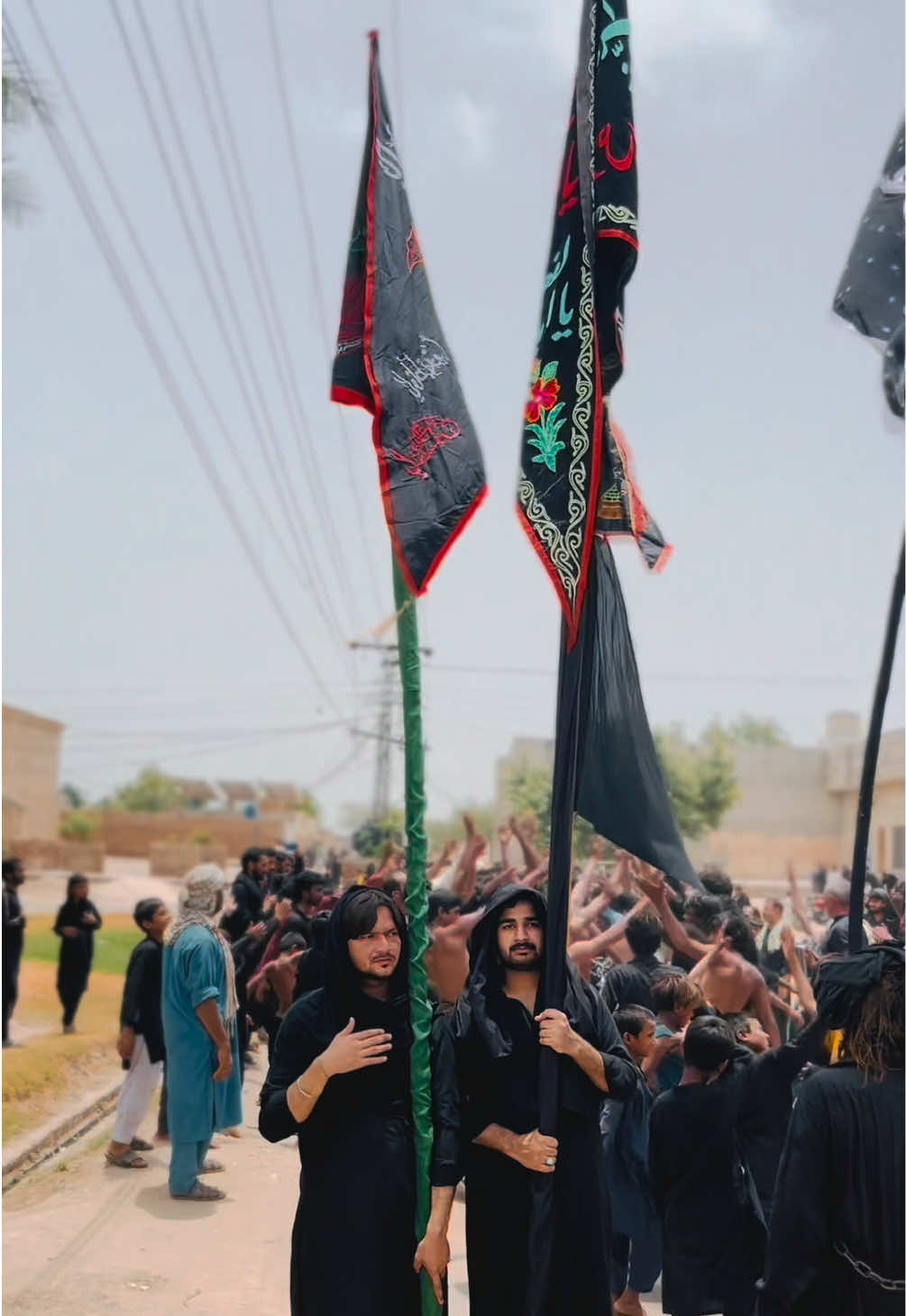 @سید عارف الحسن شاہ نقوی 🚩