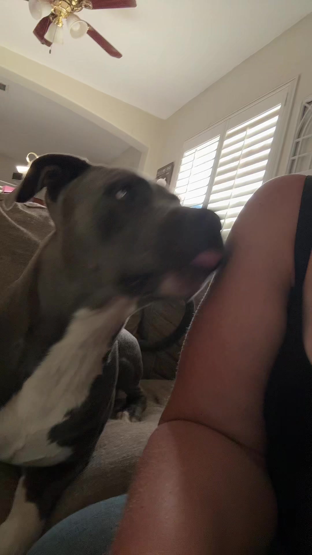 @MutherTruckinMaMA