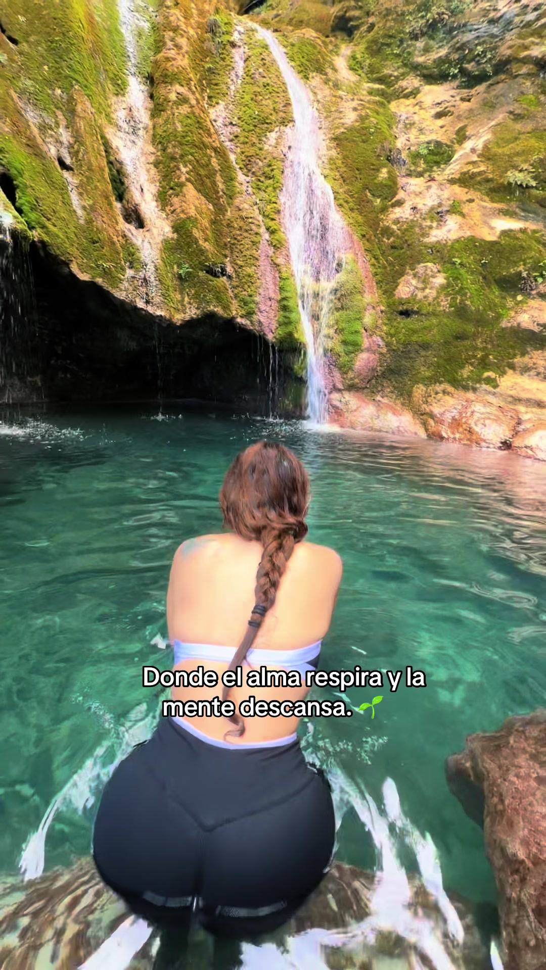 @queseleantojaalareyyna