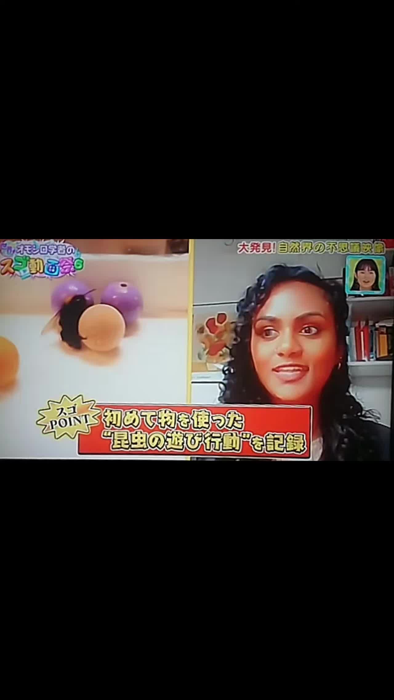 @尹の夕は。