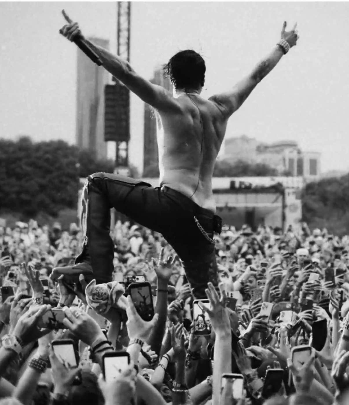 @Lollapalooza