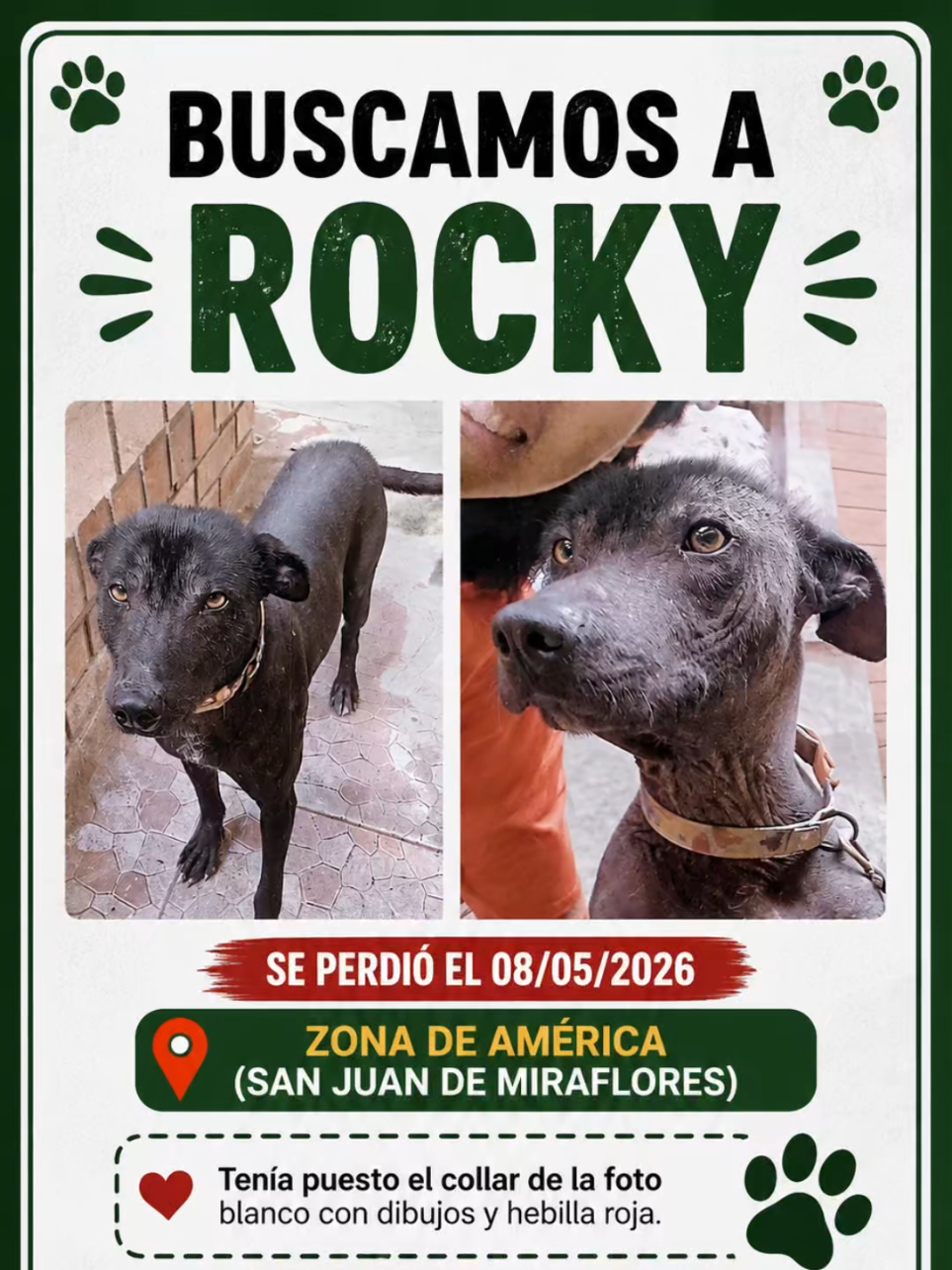@Perritos Voladores