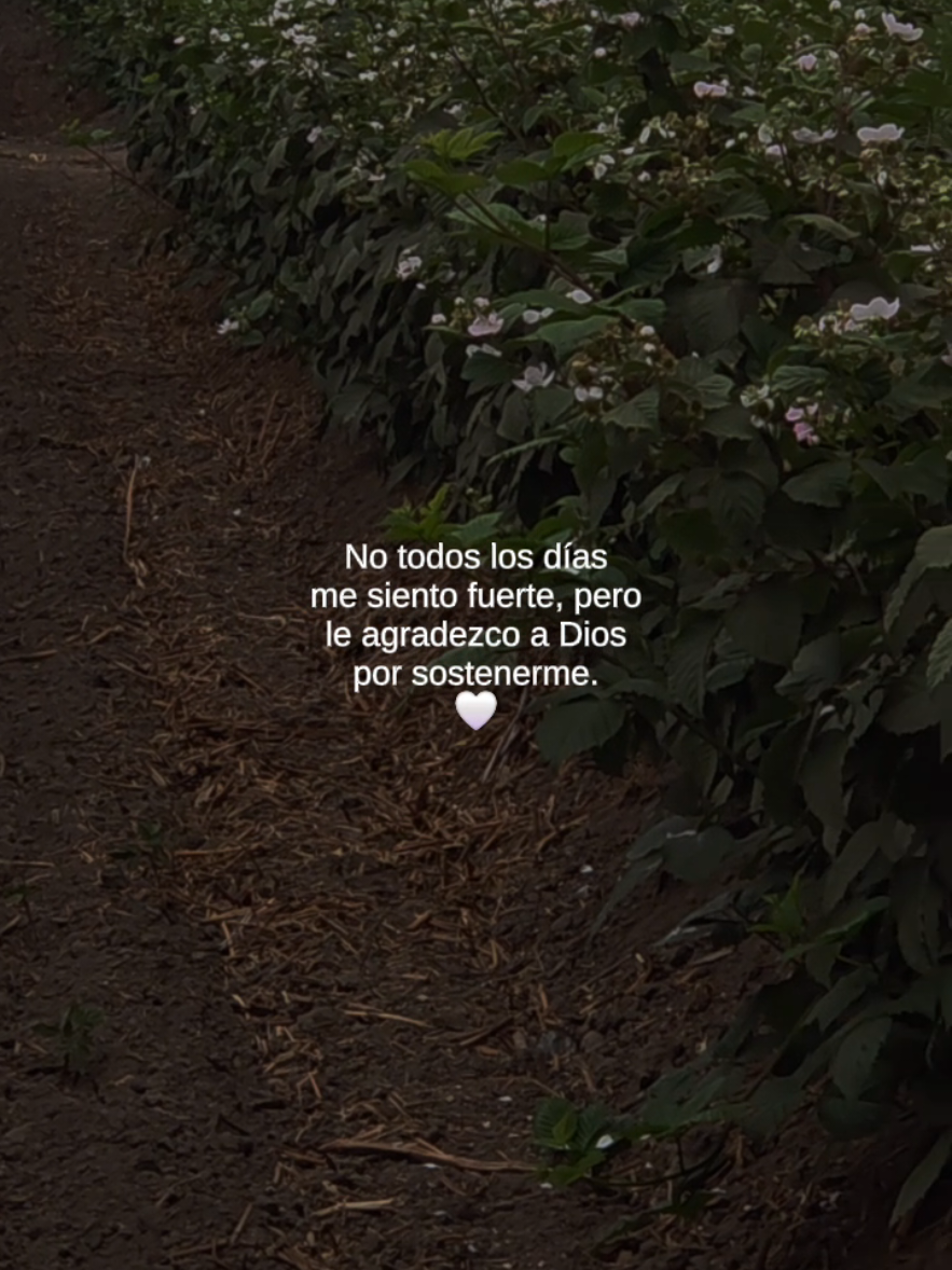 @jenifer Rodriguez