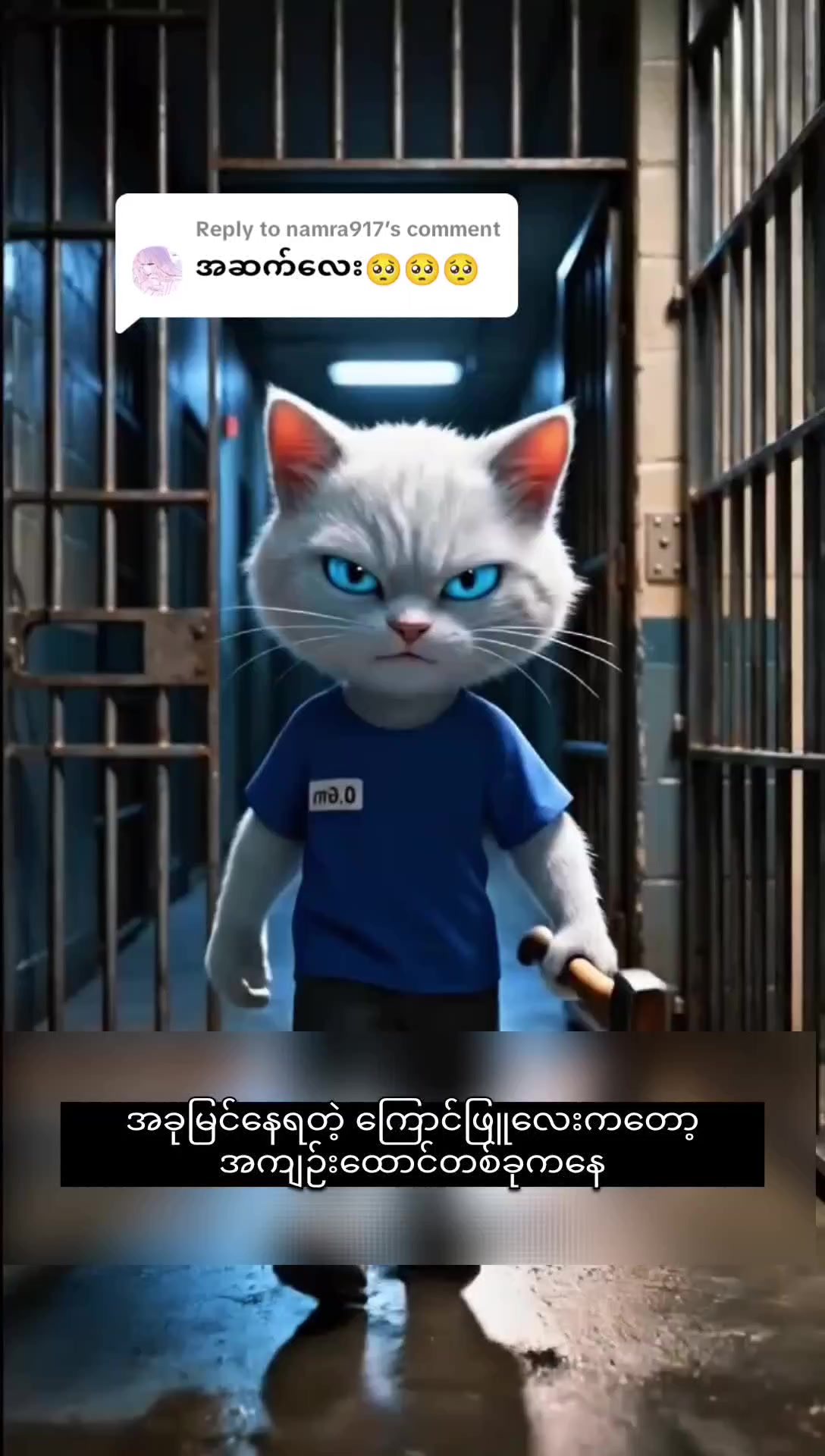 @Senku