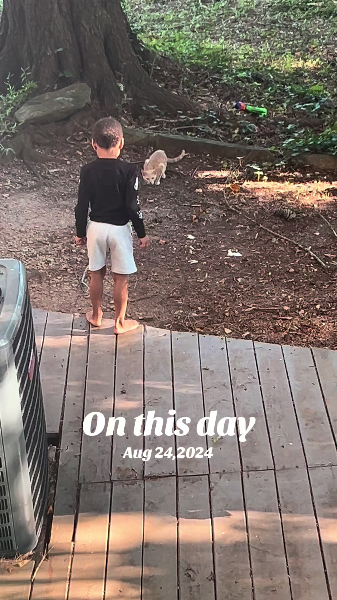 @AJ3 🕊️