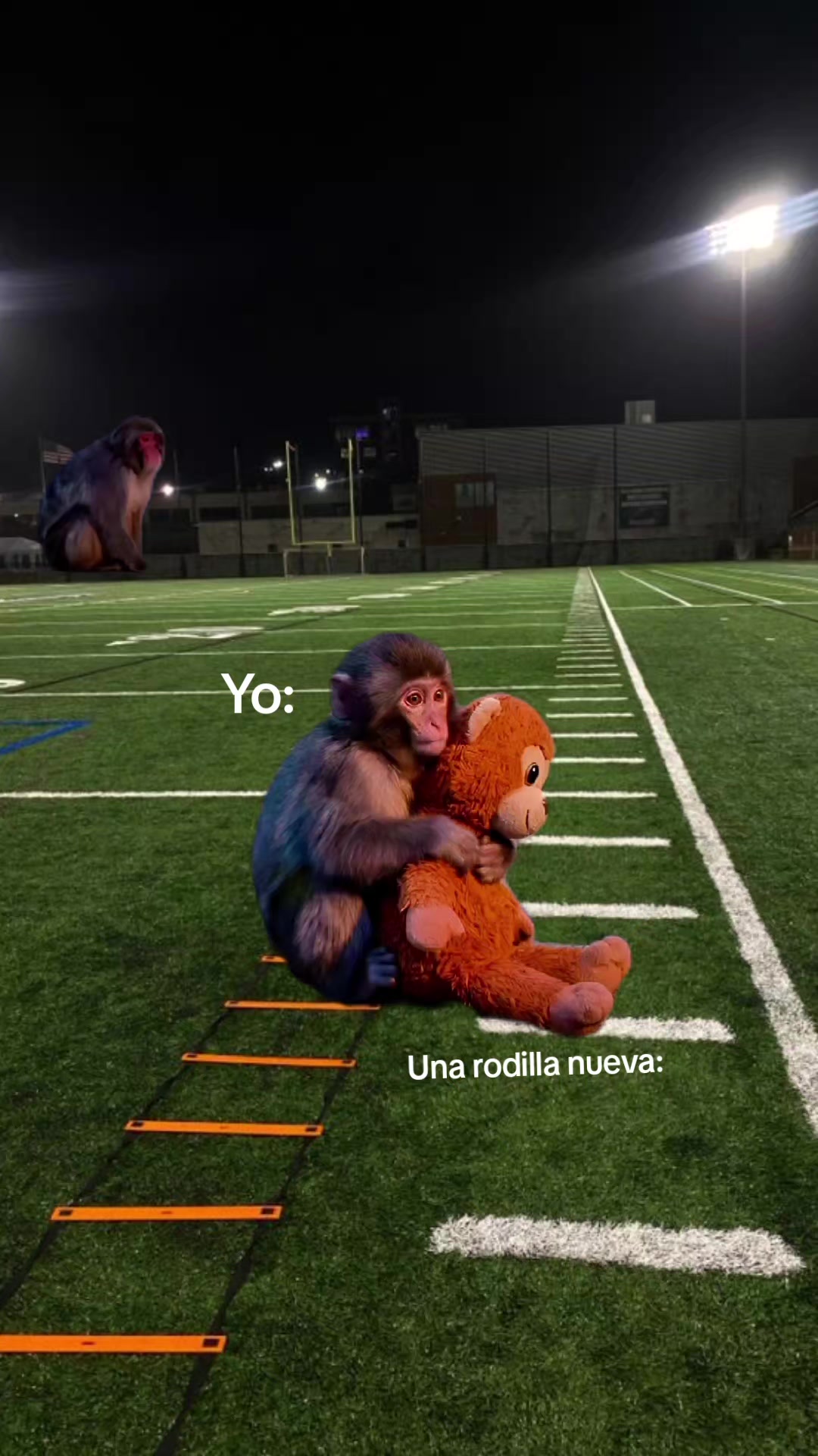 @Breenda Mora