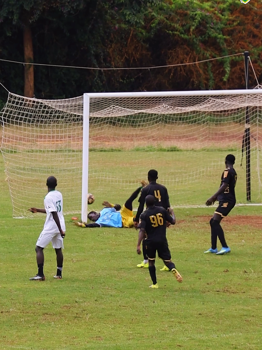 @Kariobangi Sharks FC