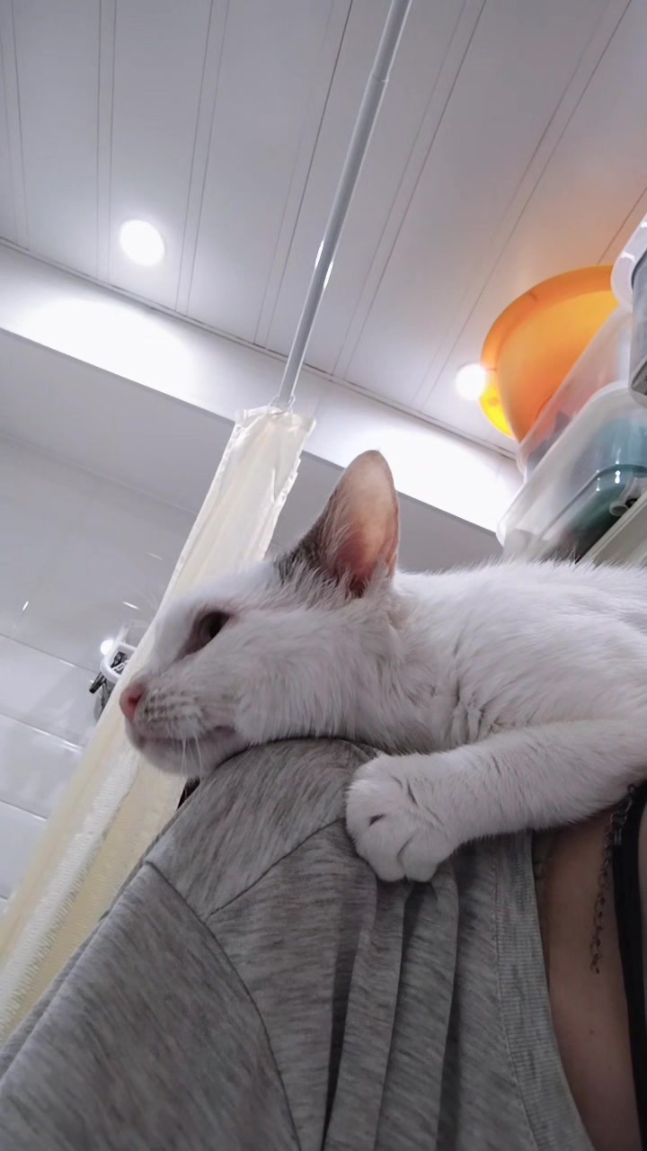 @Ꭷцⲟⲣυ
