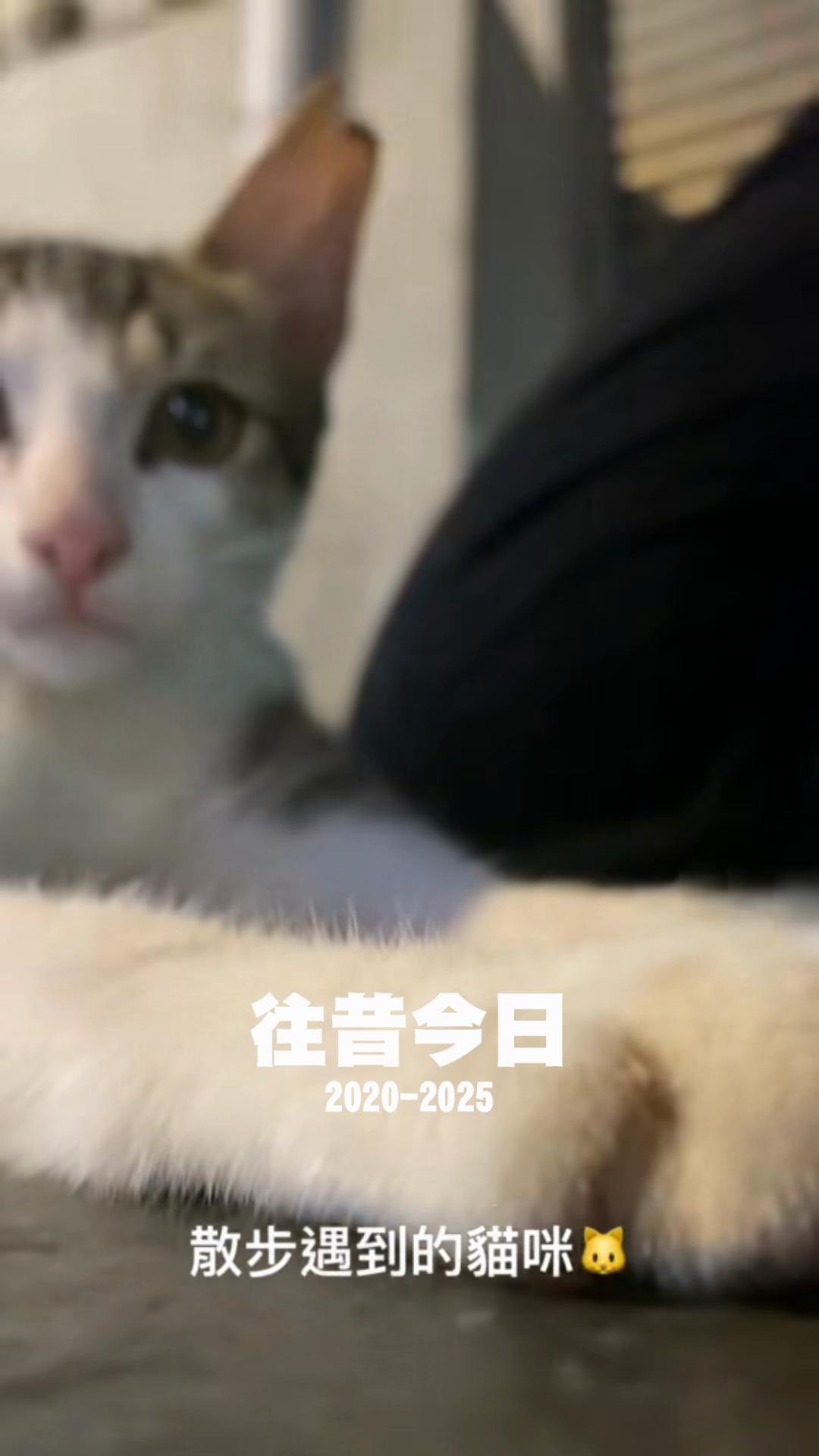 @自然~