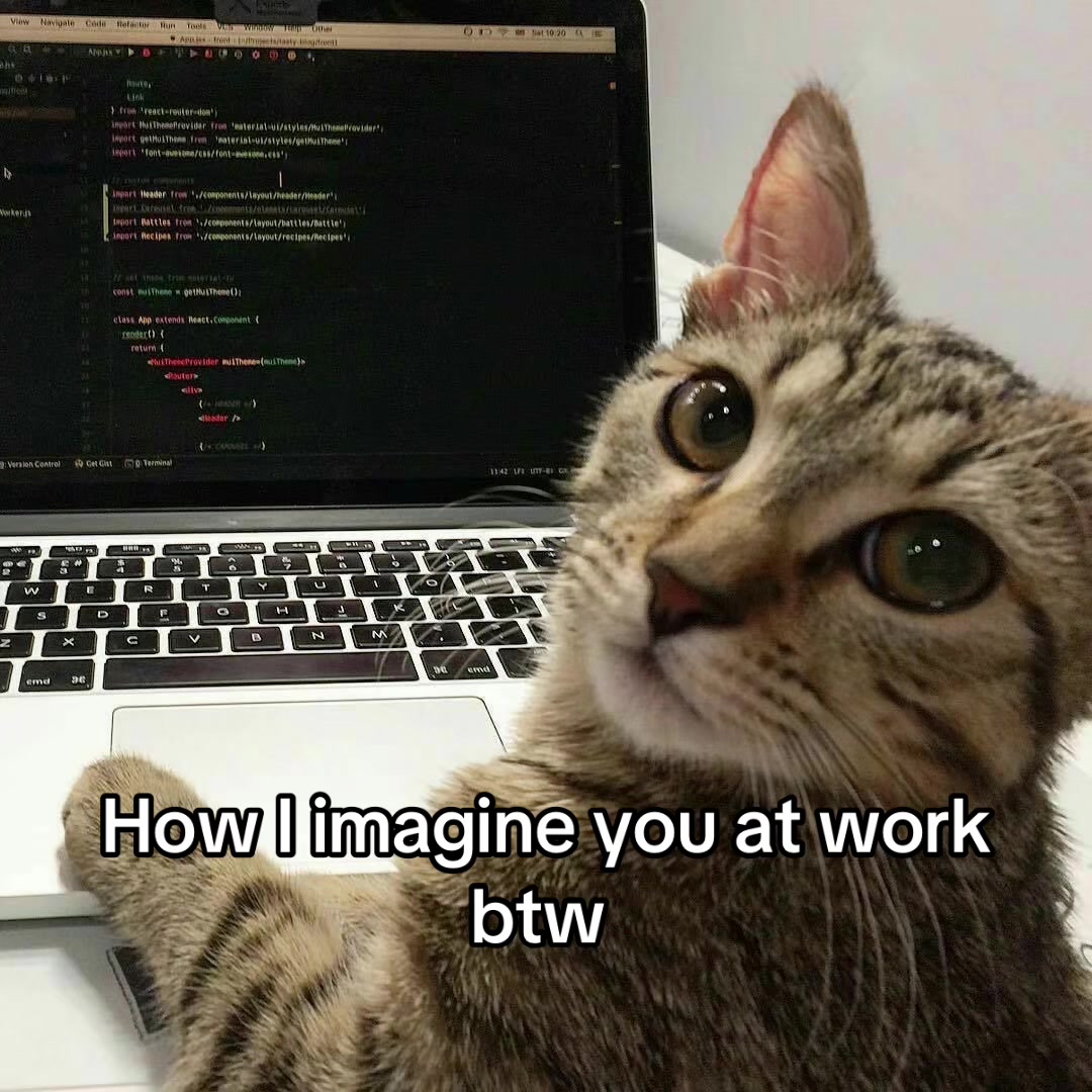 @LavanderCat