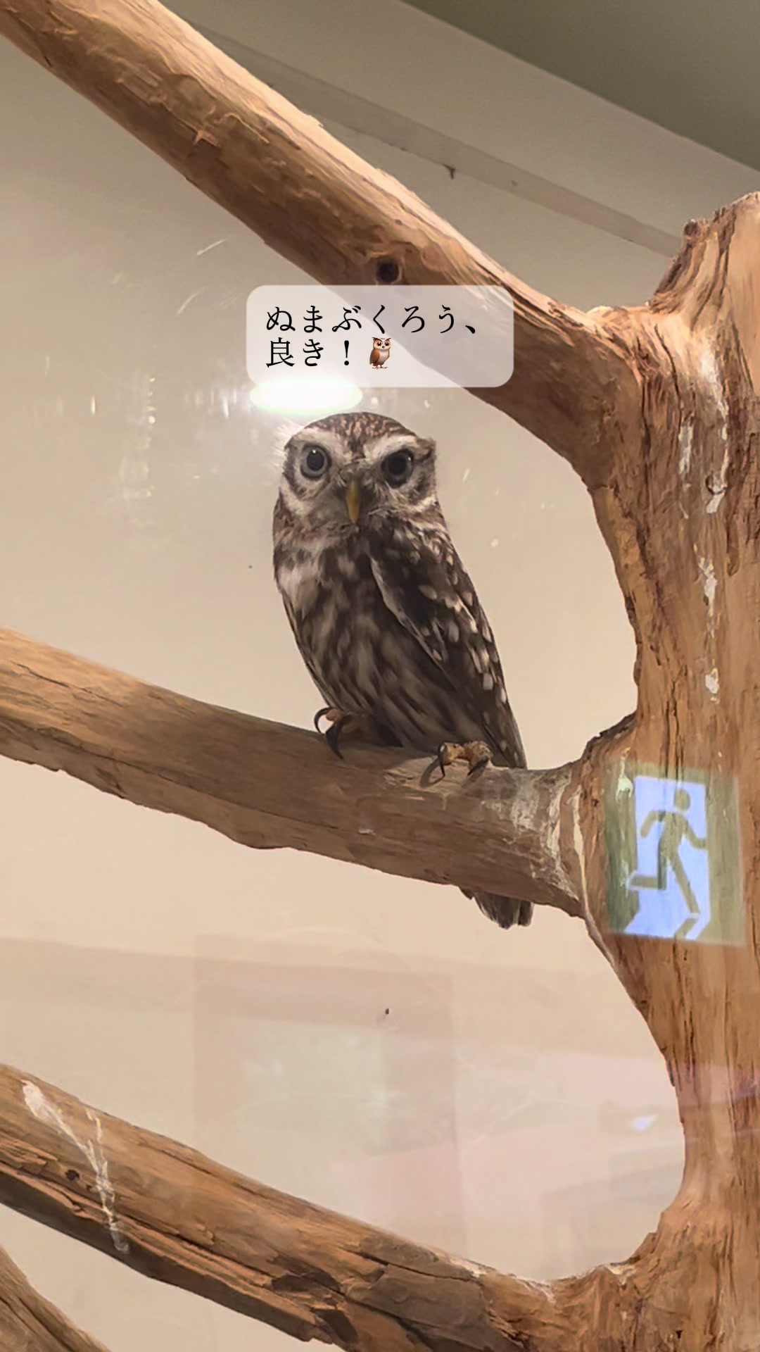 @TOMOKAðžðšð