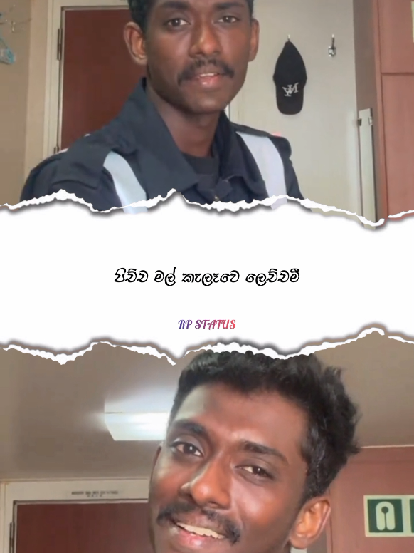 @||> RP 🇱🇰🐰❤️ <||
