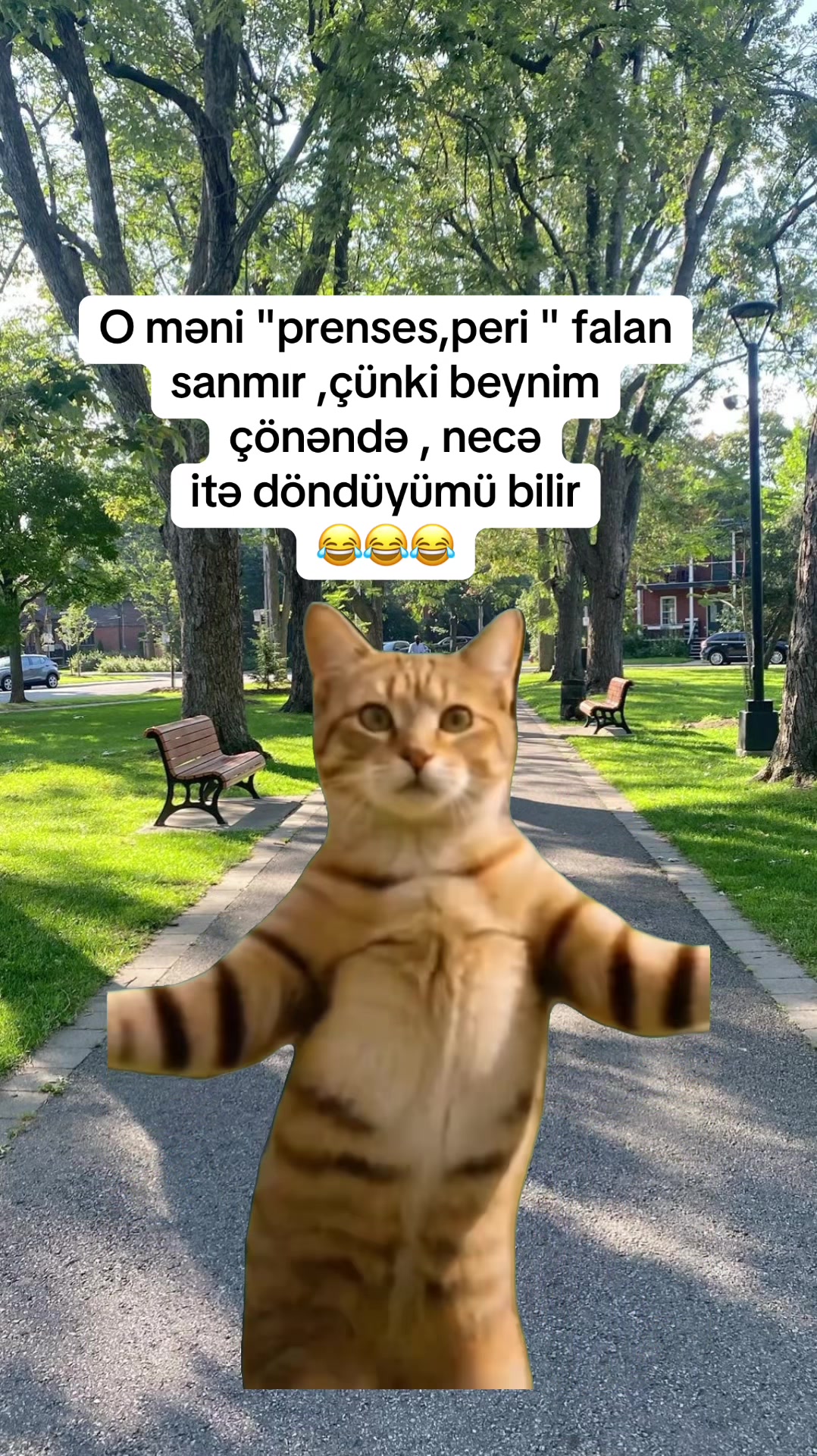 @♈️