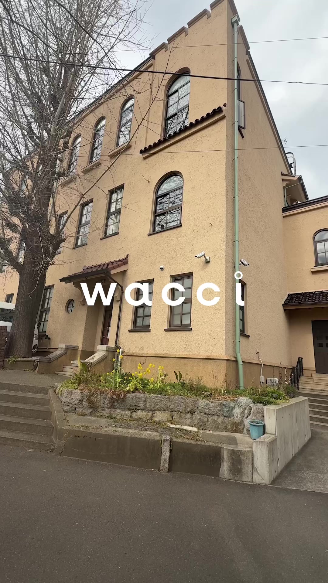 @hashiguchi_wacci