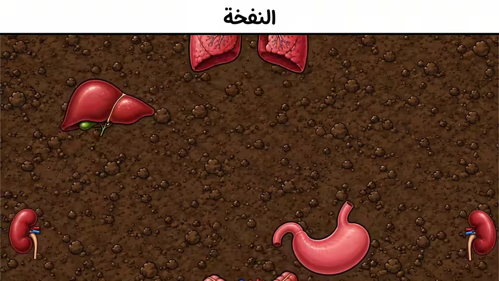 @محمد احمد