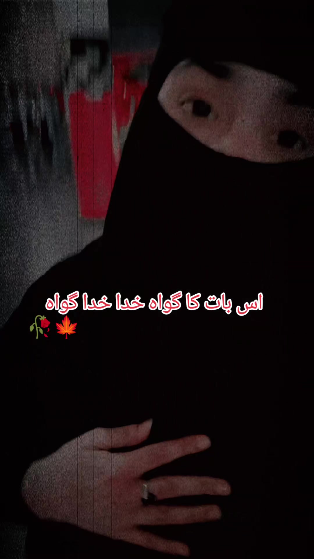 @LaDo Raنi💃