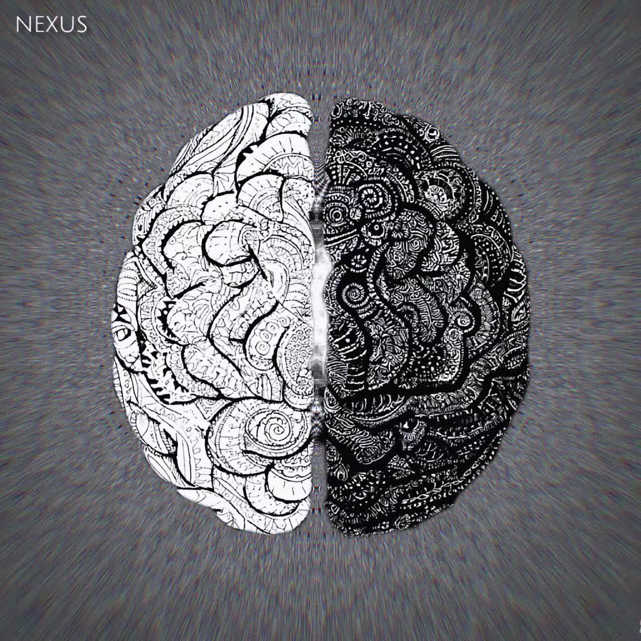 @NEXUS๐๐ง๐ฎ