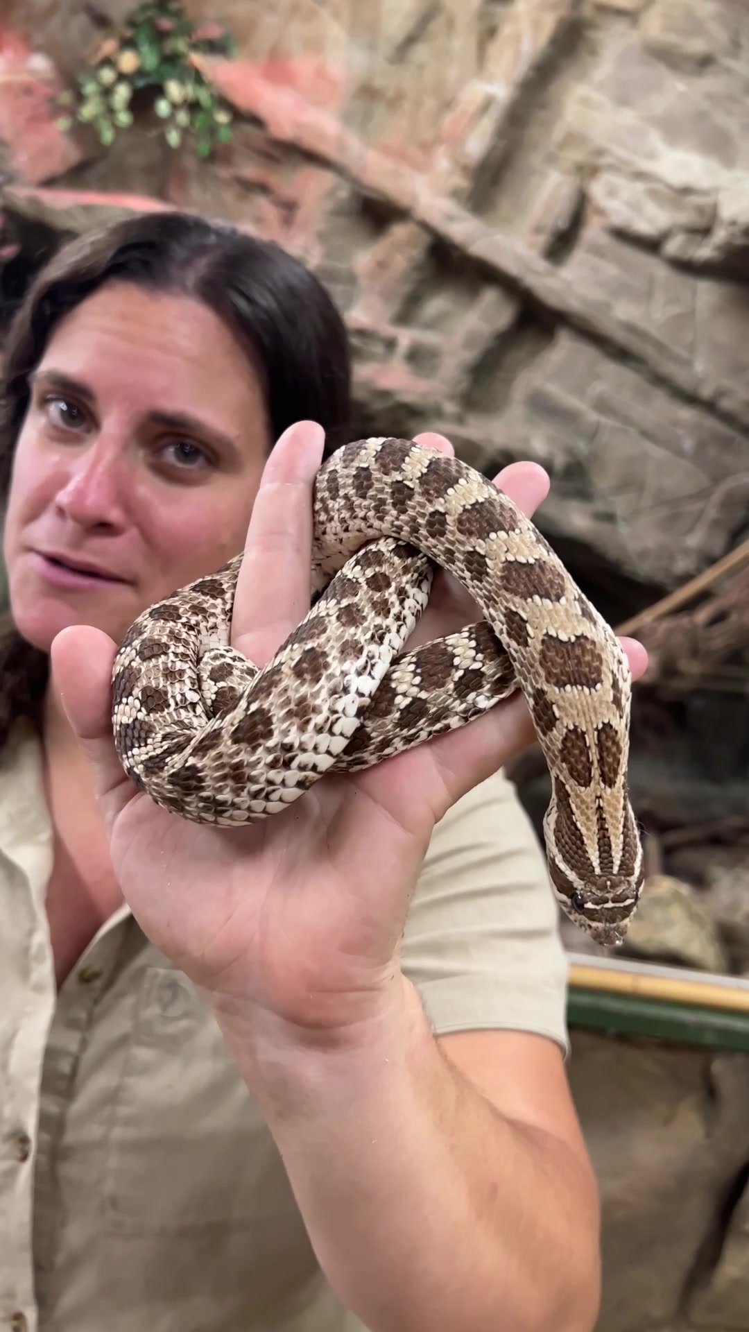 @The Reptile Zoo