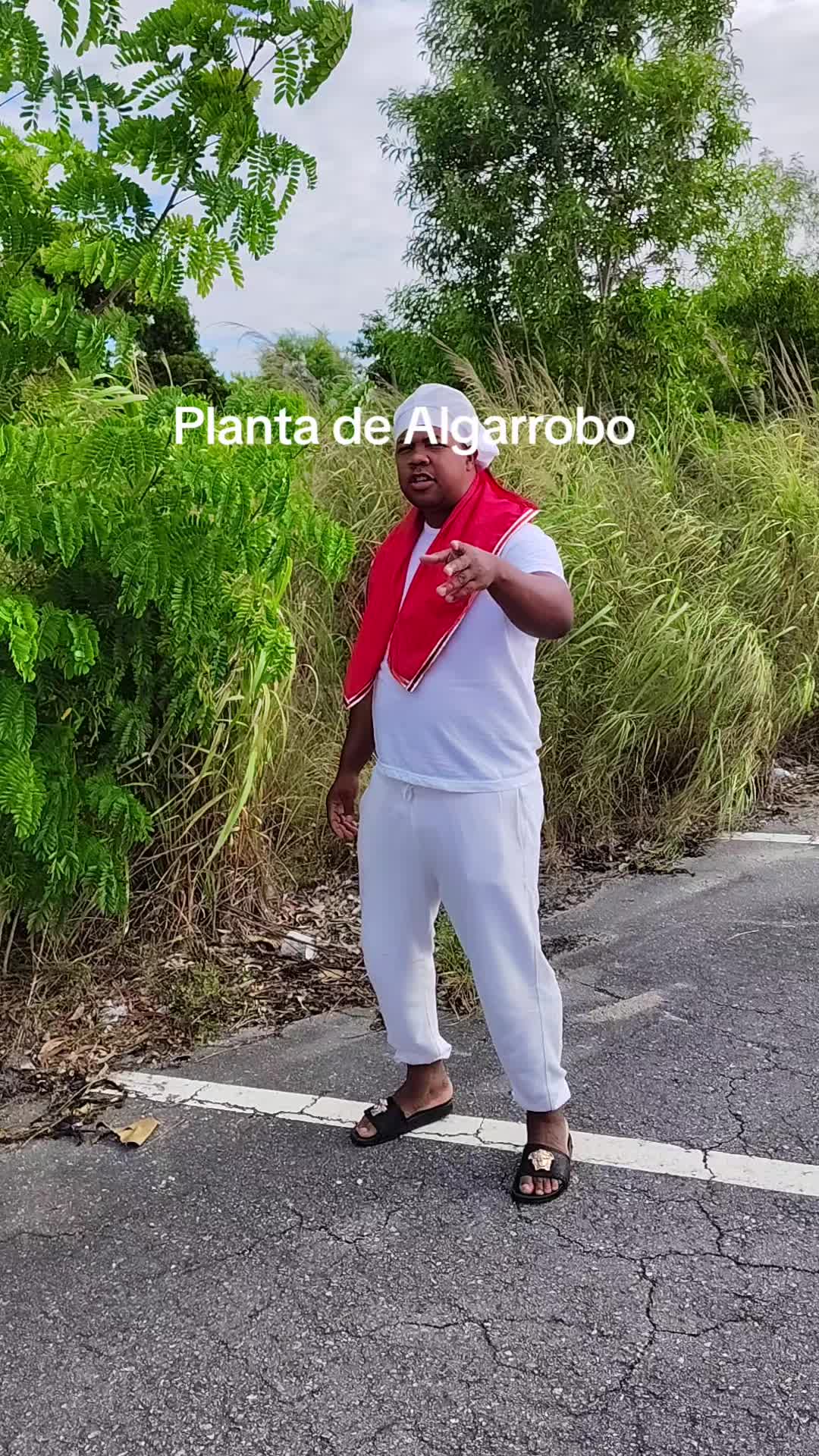 @SaguaLaGrandeTierradeCongo