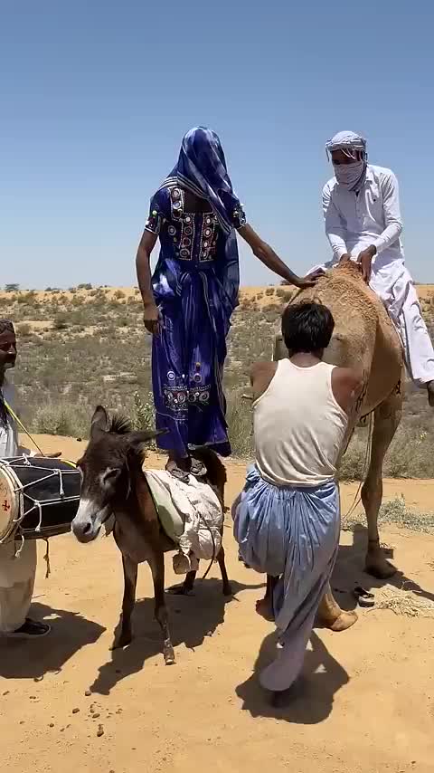 @Sakina 🐪
