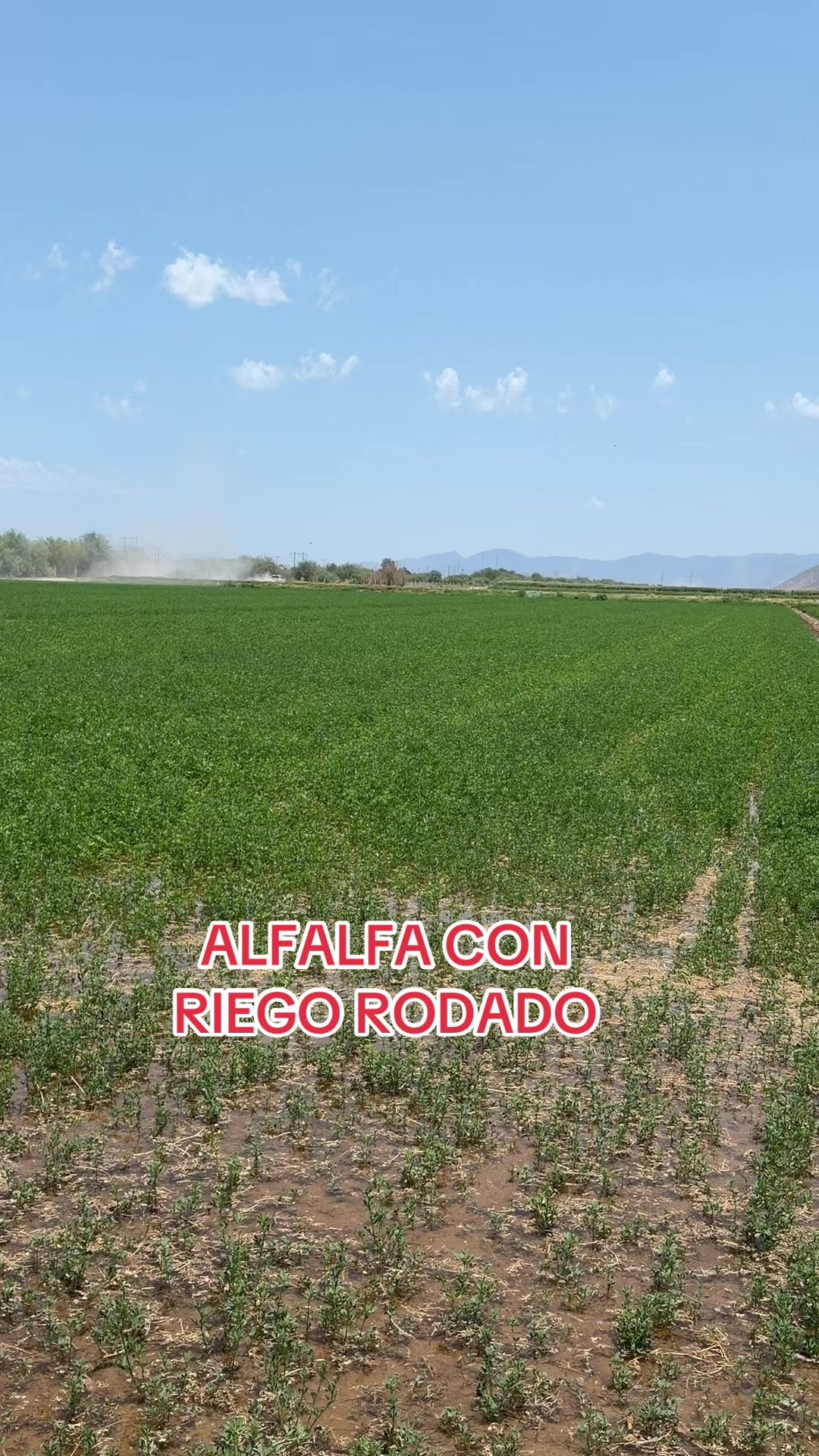 @Pablo Villarreal