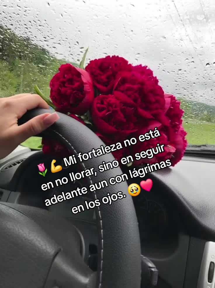 @jenny