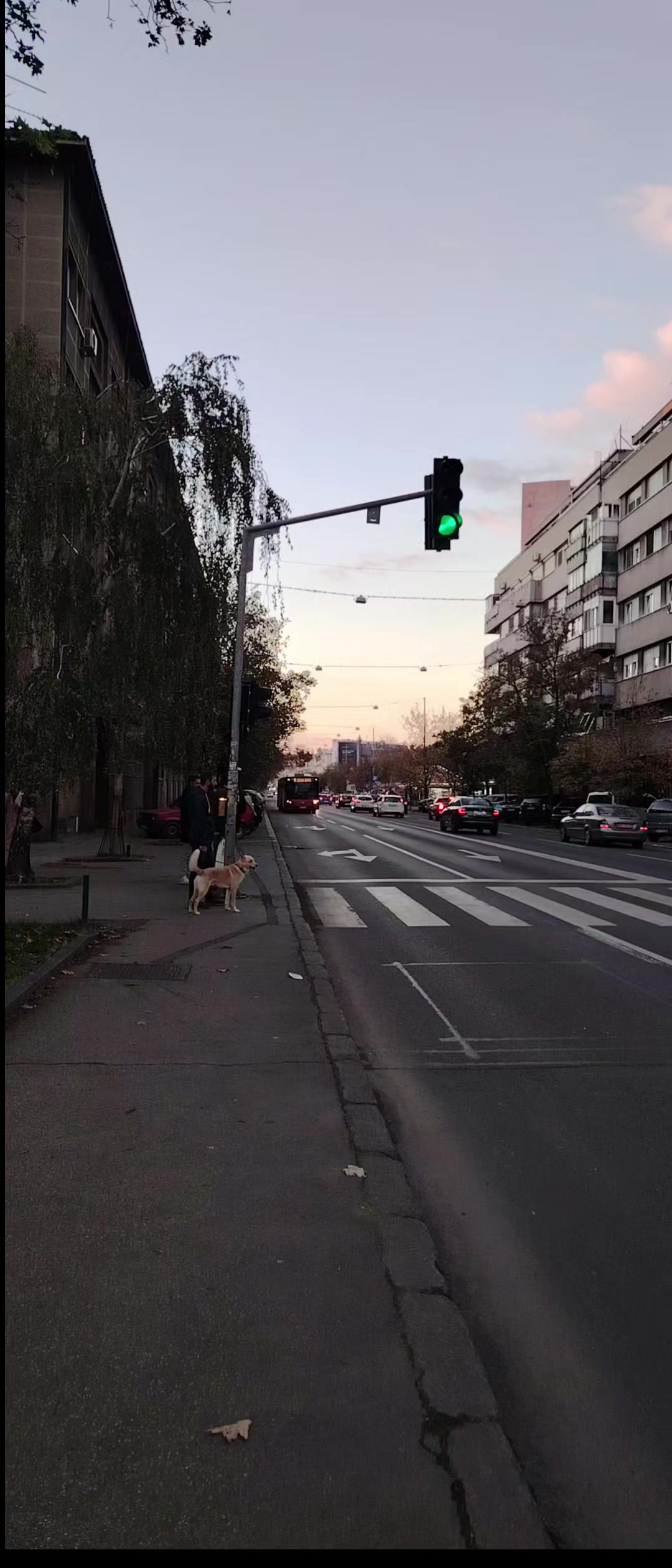 @Autobusi