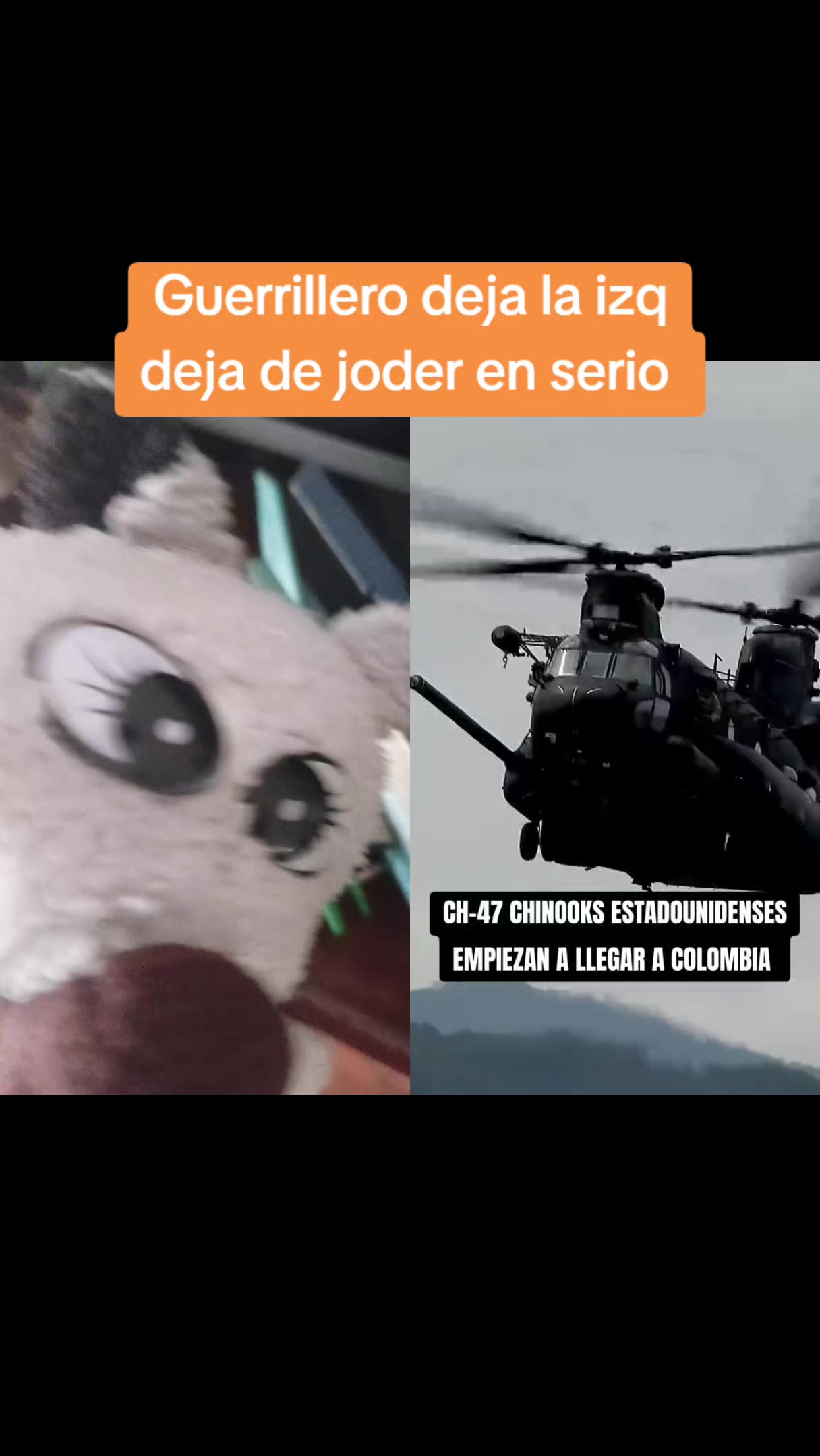 @Noticias zorrito