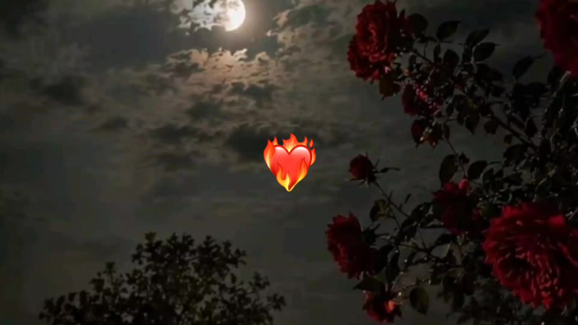 @ℒostSoul