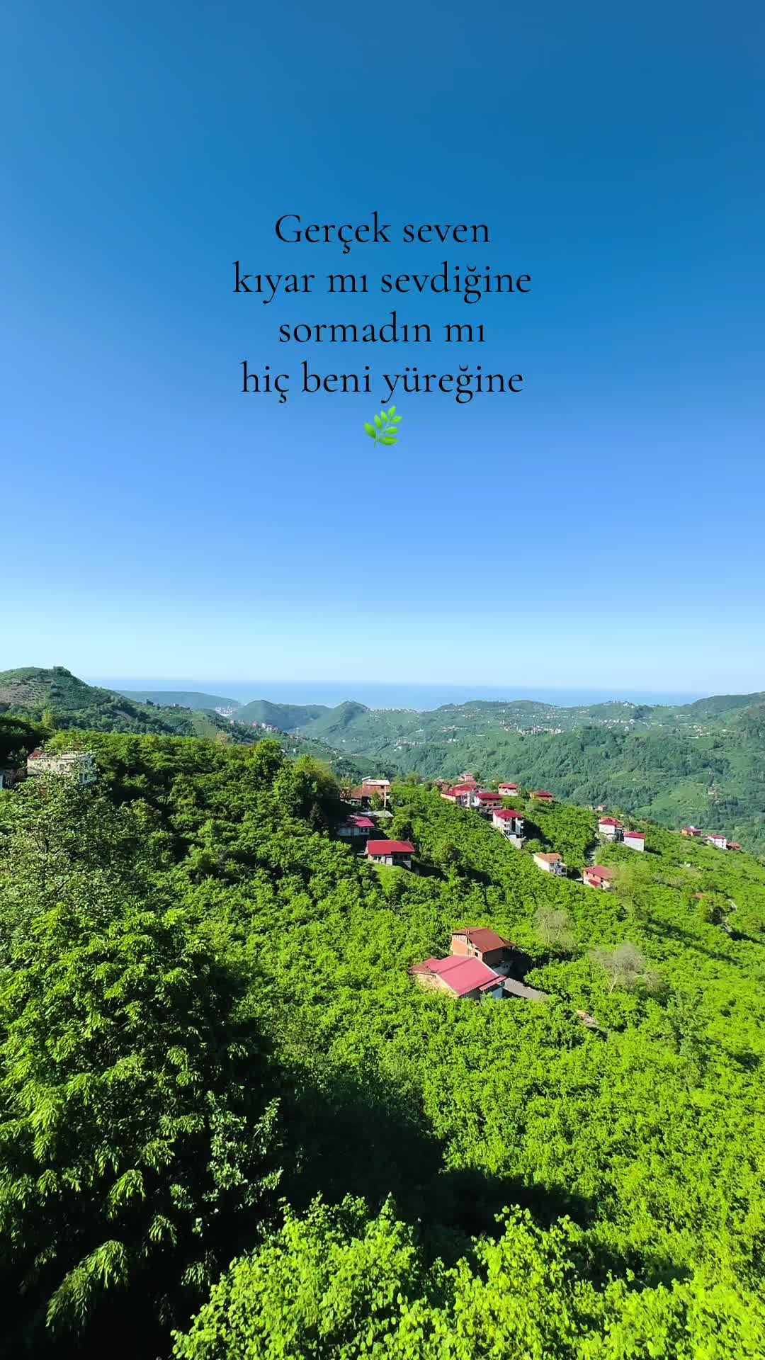 @🪬