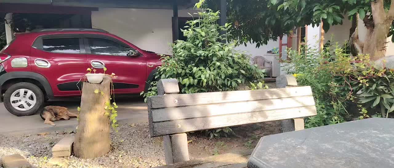 @Dinesh Madu Fonseka