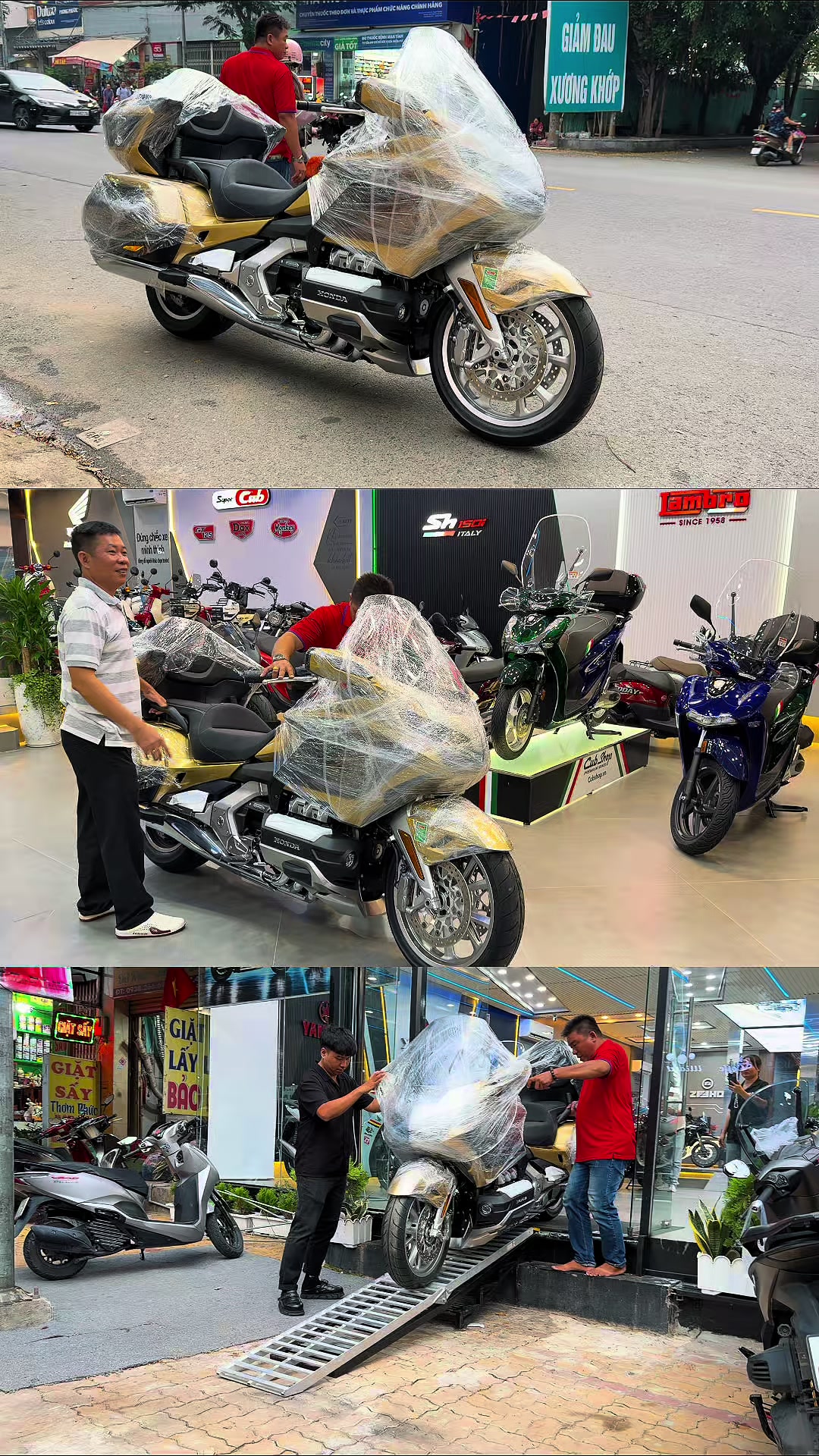 @Quốc Cường Cub House