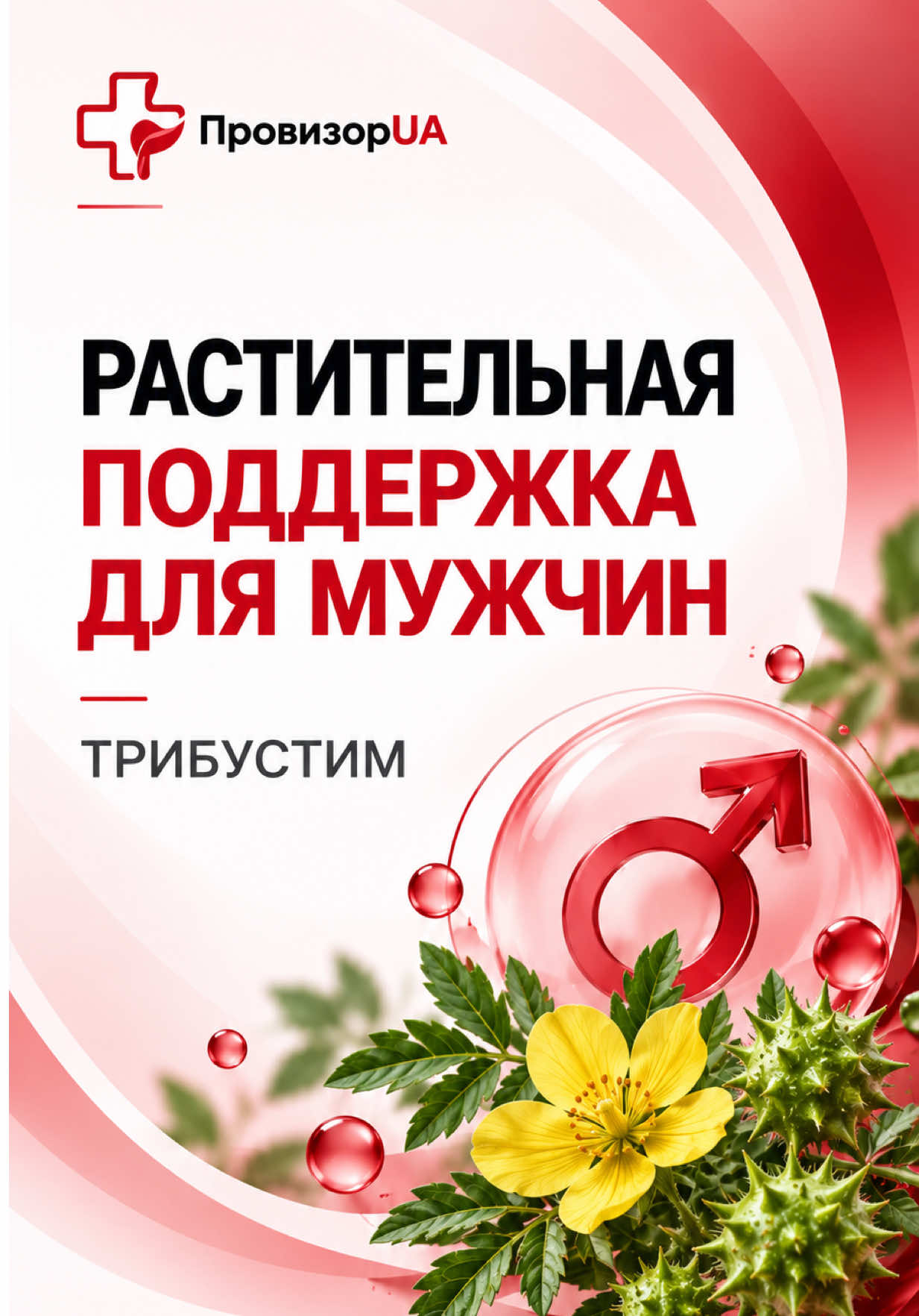 @ПРОВІЗОР_UA