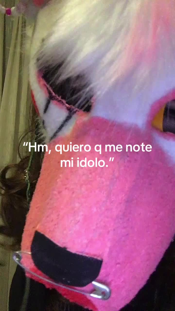 @pawless.naomi