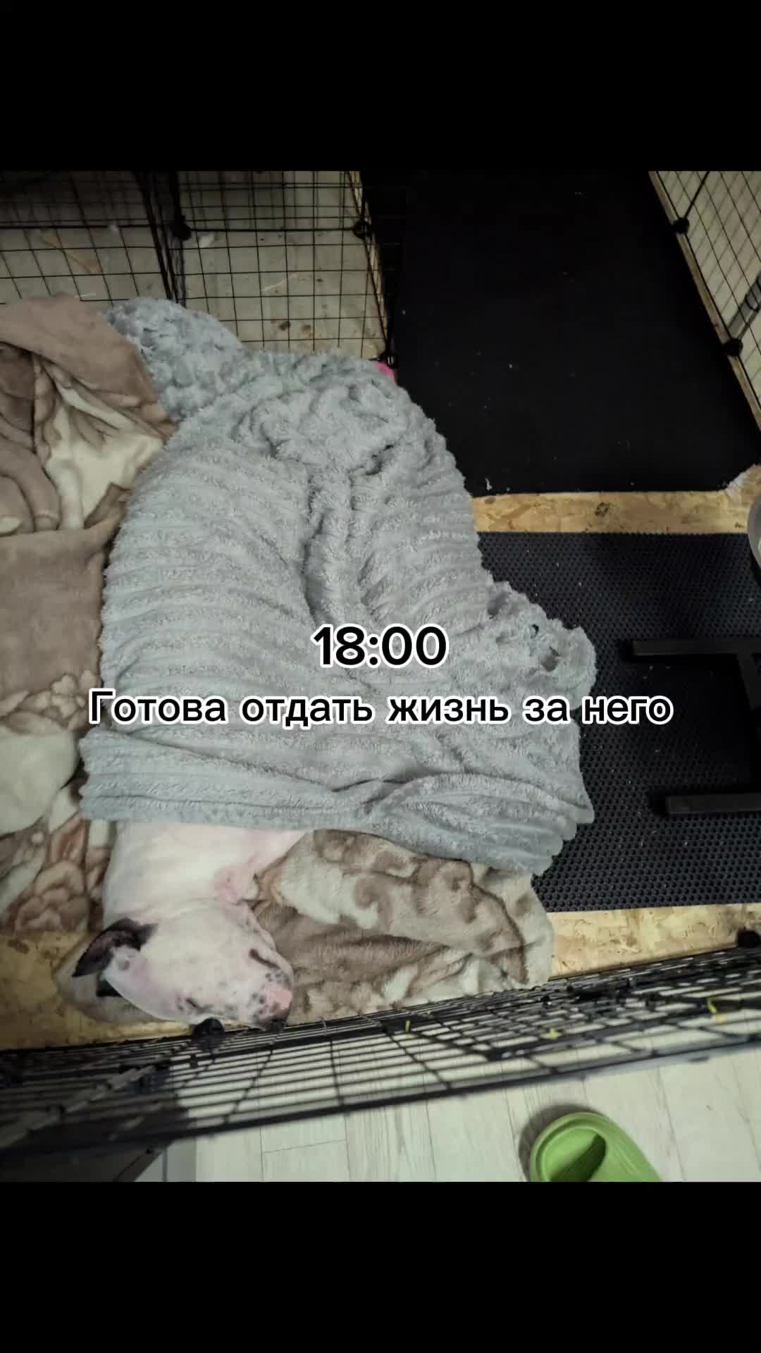 @𝕸𝖆𝖑𝖎𝖓𝖆 𝕸𝖆𝖑𝖎𝖓𝖎𝖓𝖆