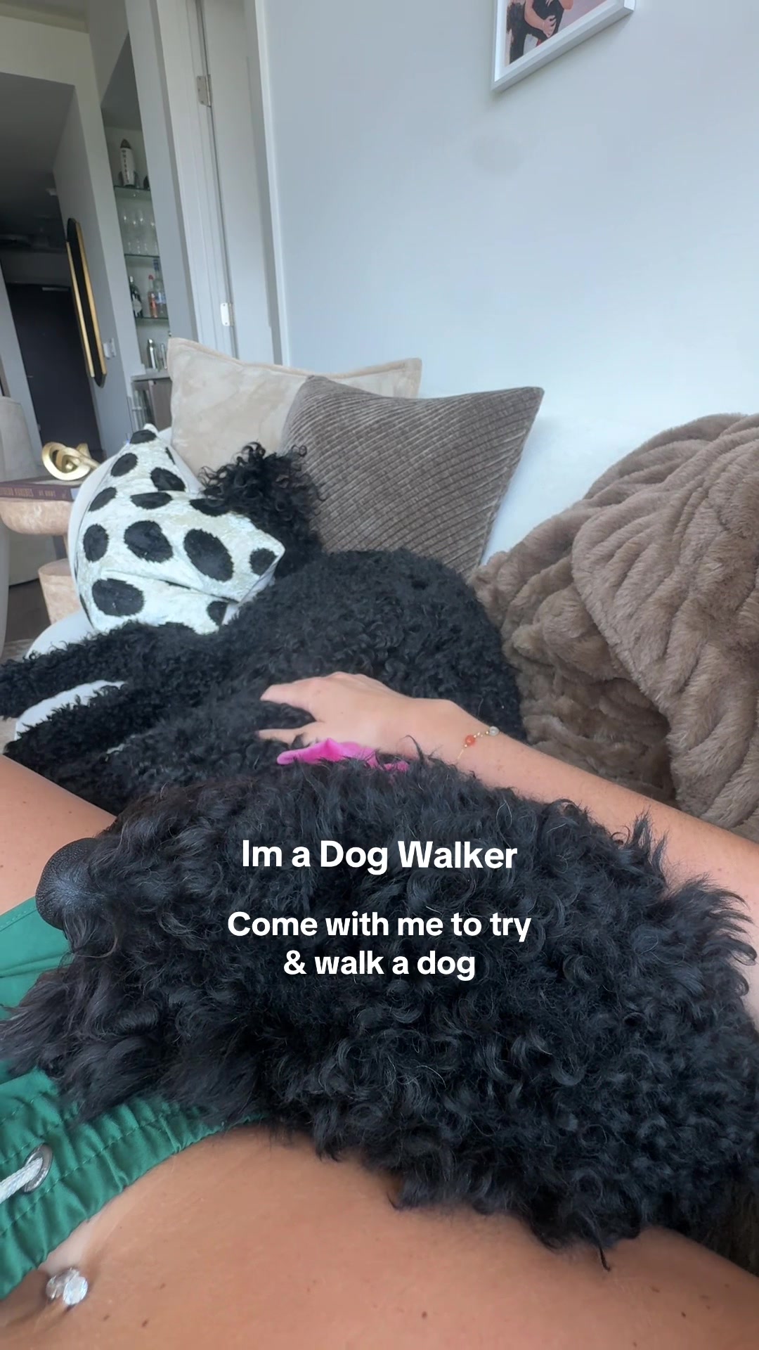 @dallasdogwalker