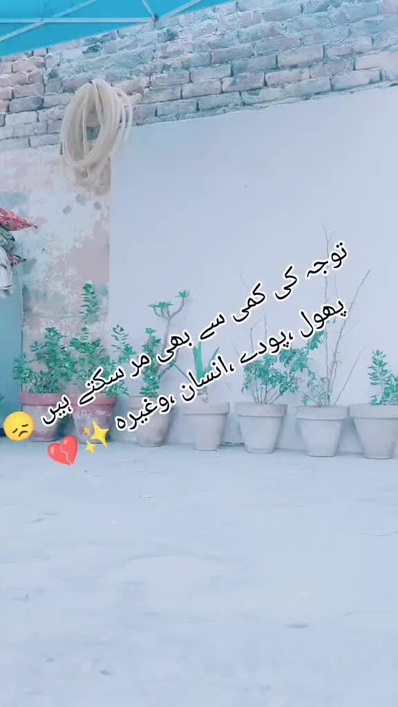 @𝙈𝙧.𝙎𝙖𝙦𝙞𝙗 🥀
