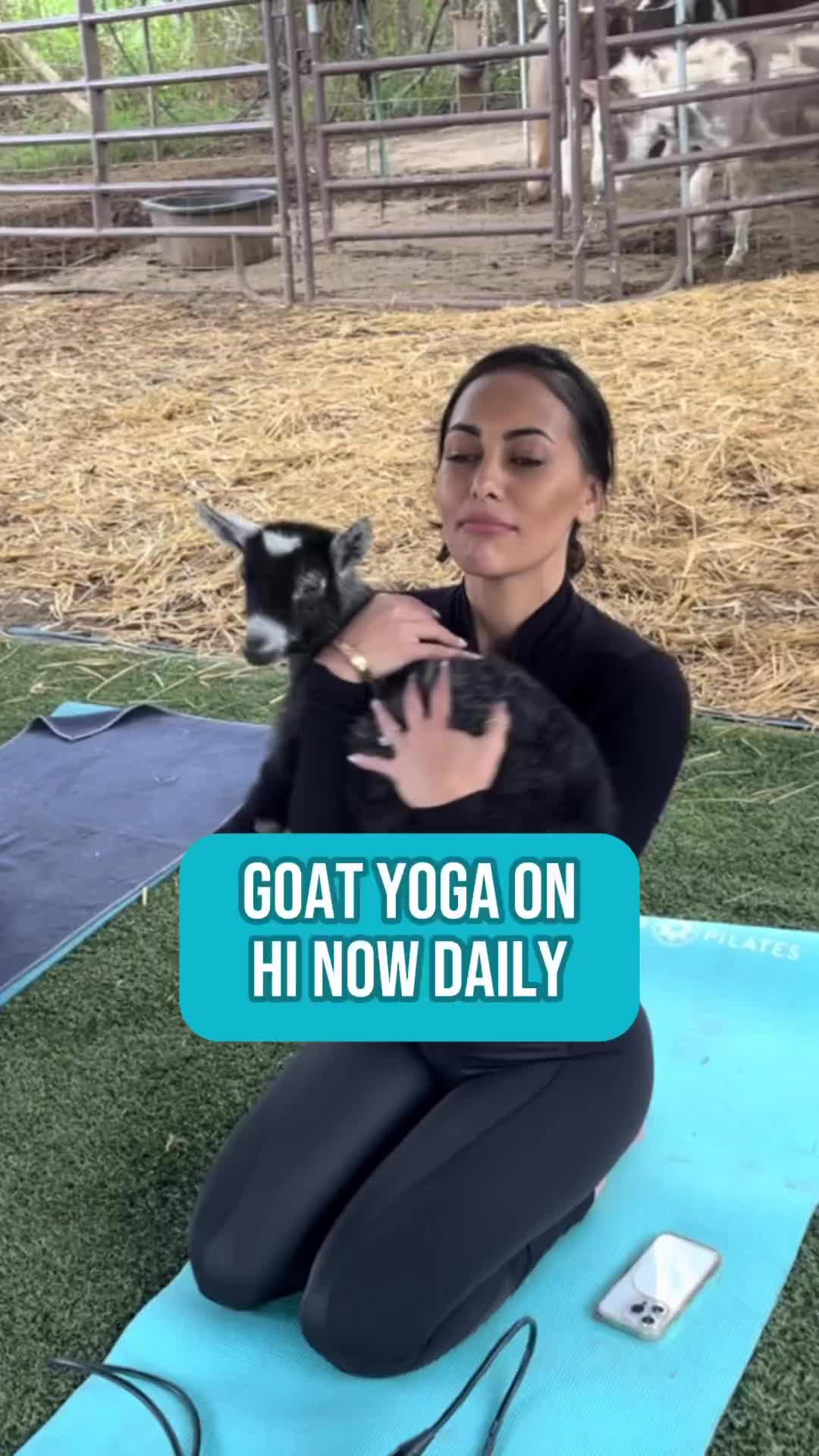 @Alohagoatyoga