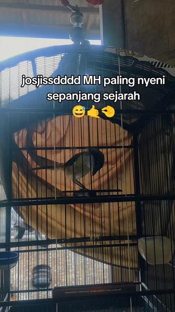 @maskembar12