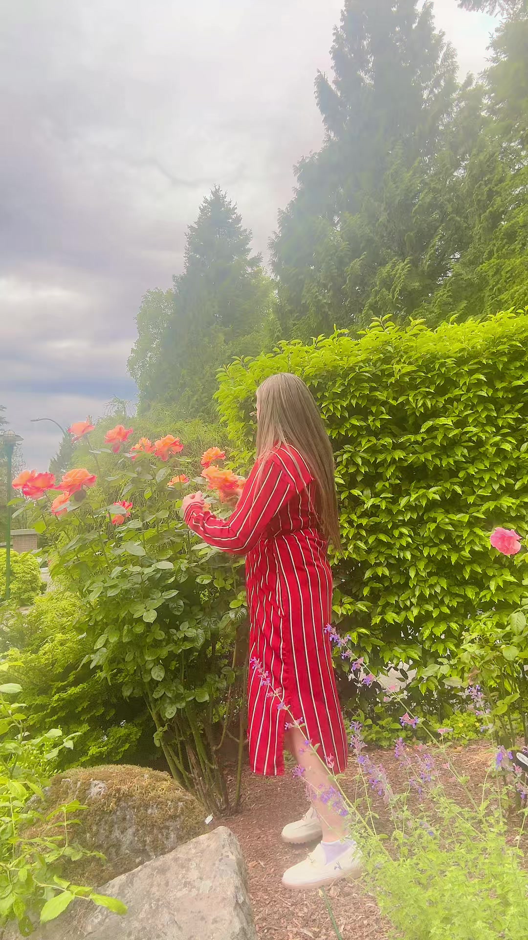 @🌼 Nora Jahan 🌼
