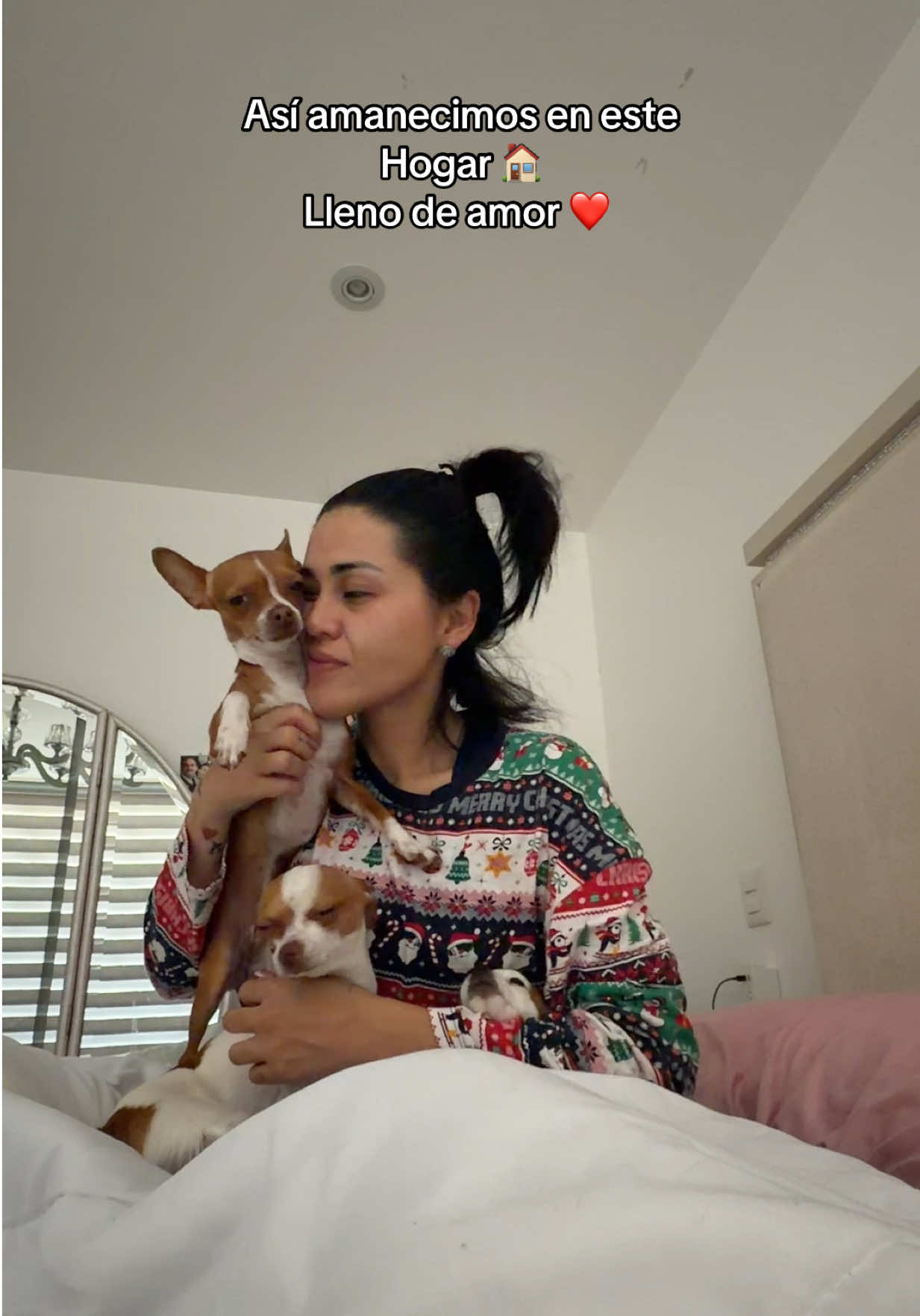 @GOMITA_OFICIAL