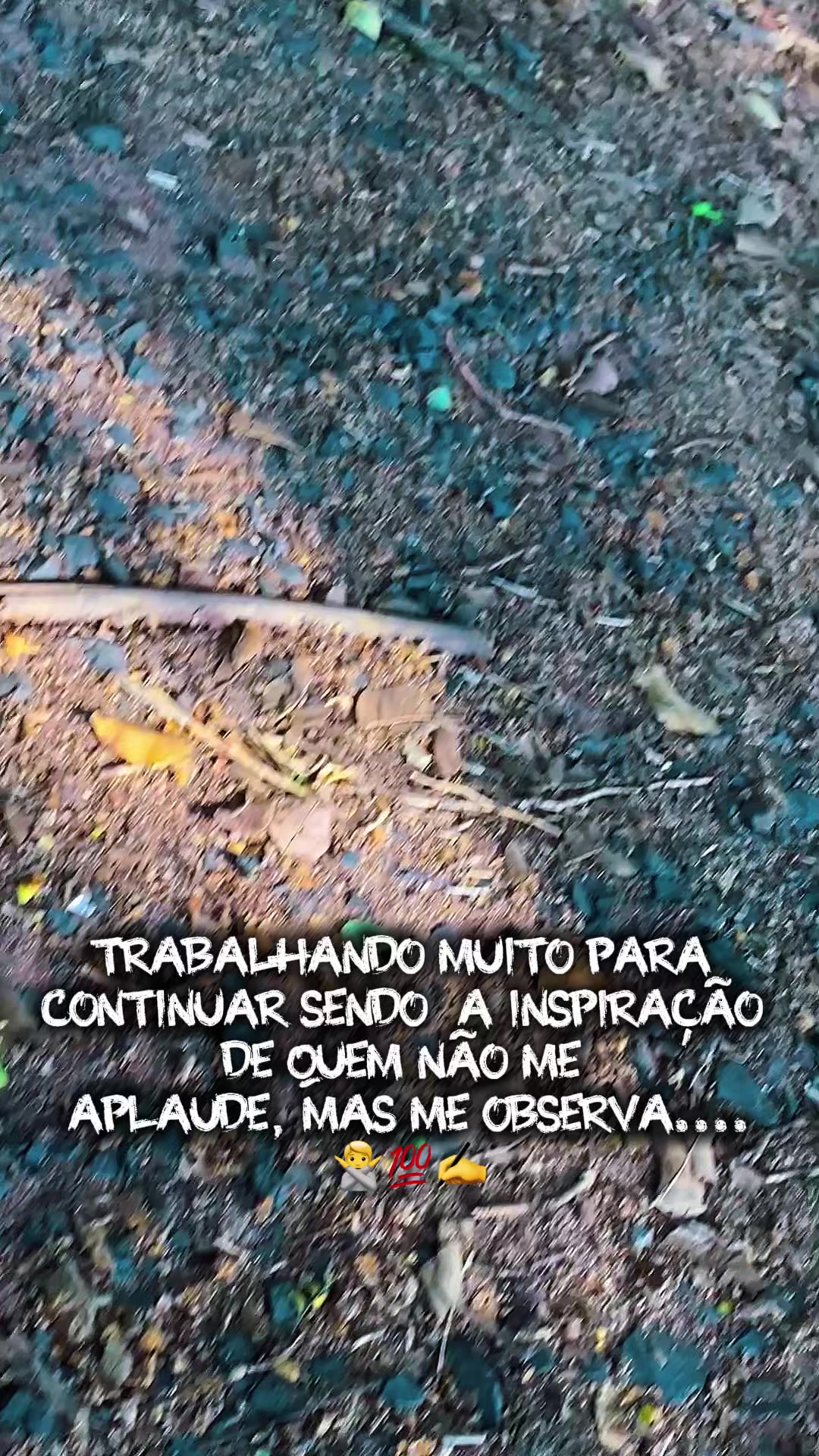 @João Paulo🍃