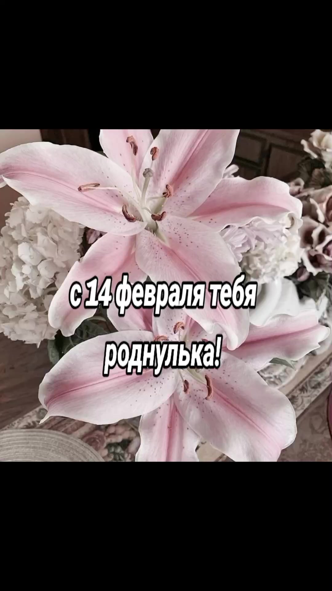 @твоя Рин🪽