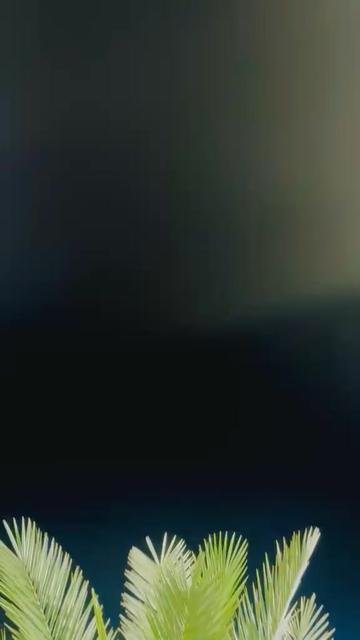 @چوہدری شیری ڈھلوں
