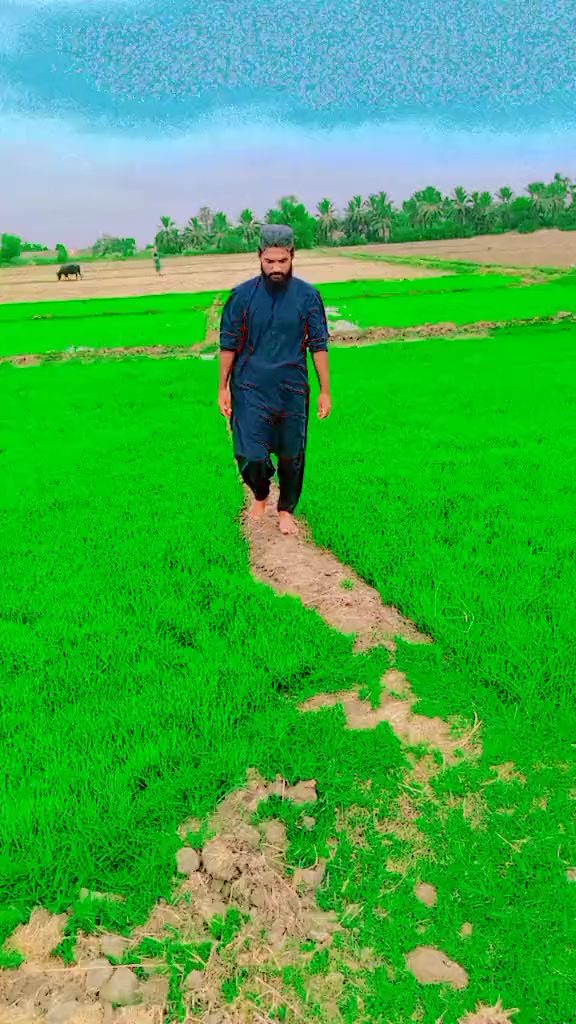 @Nizamuddinmengal
